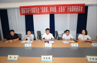 澧縣百名干部聯百企“送政策、解難題、優服務”行動調研系列座談會