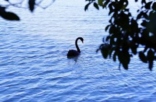 以行促學 賦能宣傳 | 2023通訊員交流活動圓滿結束